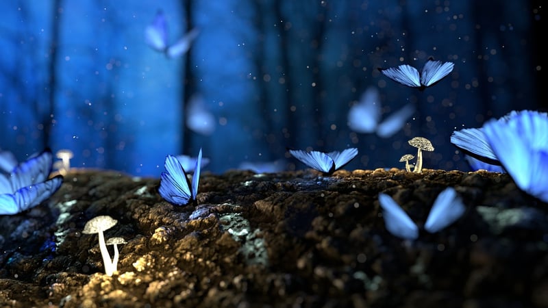 Fairytale Grove